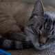 Image for article titled Leica T Review: A Camera Should Not Be a Luxury Object
